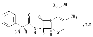 头孢羟氨苄颗粒剂