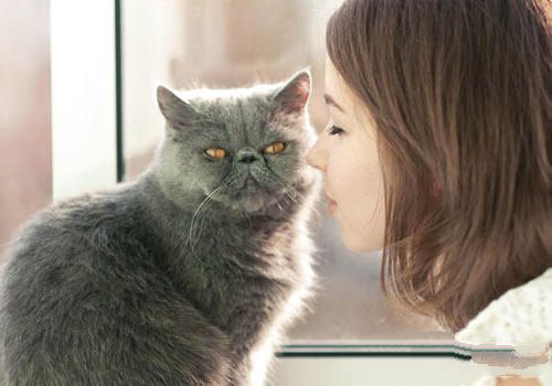 和猫咪的沟通比训练更重要